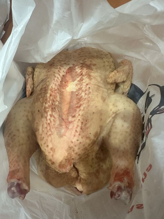 Продам тушки домашних куриц
