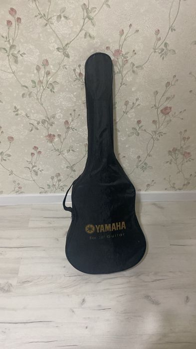 Гитара, каподастр и чехол