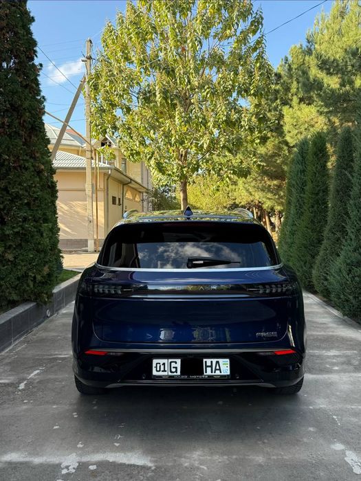 24.250.S. VOYAH Free.