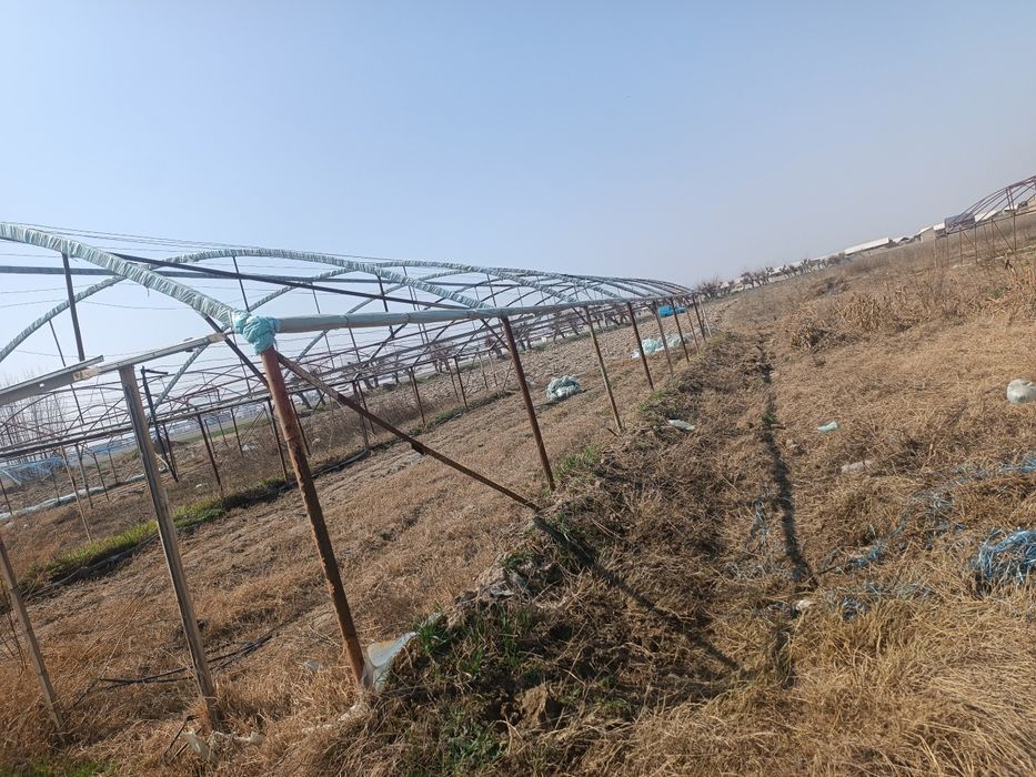 Issiqxona sotiladi faqat klyonkasi yuq boshqa xamma narsani bor