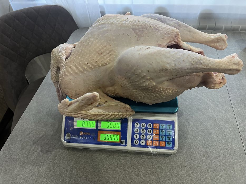 Продам мясо индейки