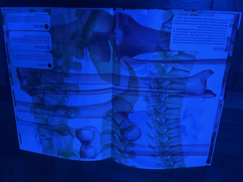 Carte interactivă „The Human Body” - 3 imagini in 1