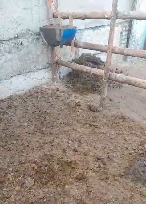 Перегной  Бесплатно