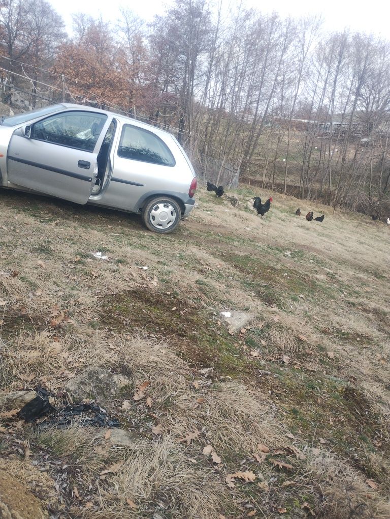 Буркан пилешко месо