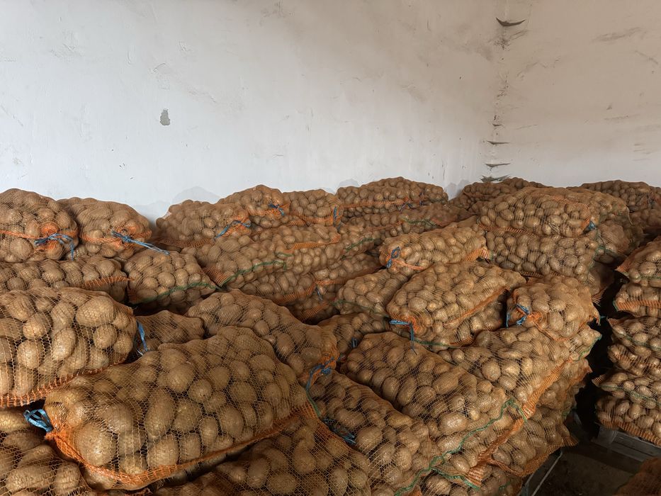 Cartofi consum Covasna