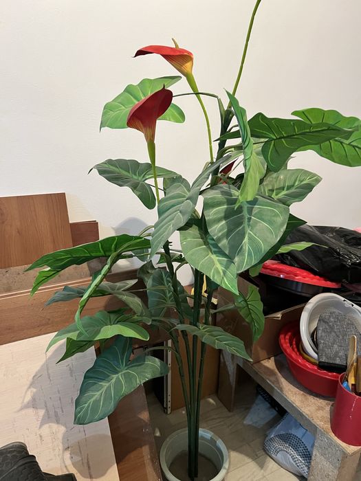 Гул декоративной