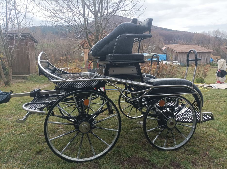 Trasura Maraton Germania