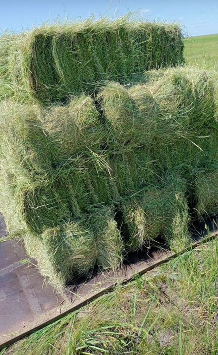 Продам сено Житник.продам сено с доставкой не менее 300/ 400доставка б