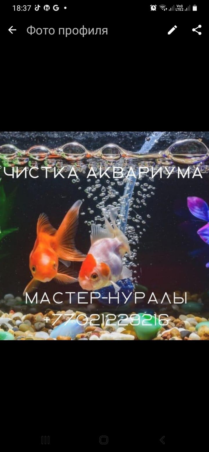 Чистка аквариума