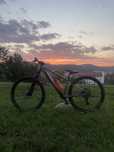 rockrider explorer 520 custom mtb