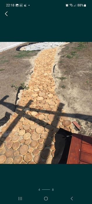 Mesteacan decorativ / Trunchiuri decor mesteacan / Rondele mesteacan