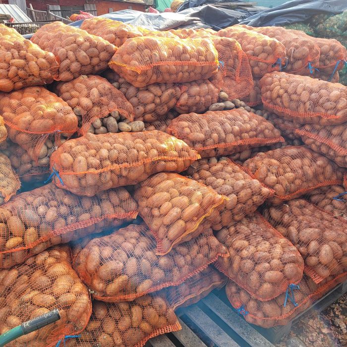 Vând cartofi consum