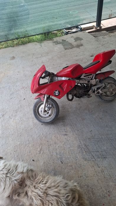 Vand sau schimb Pocket bike 49cc modificat prinde 70km/h cu un cross
