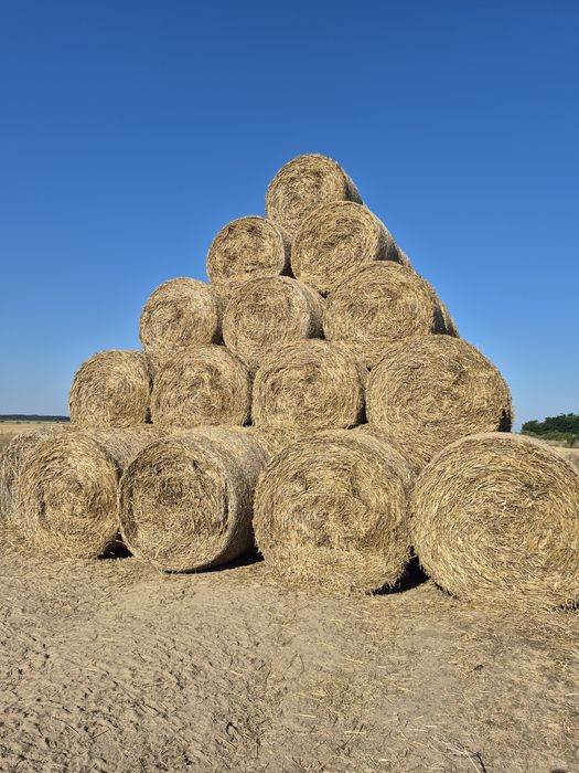 Vând baloți de paie