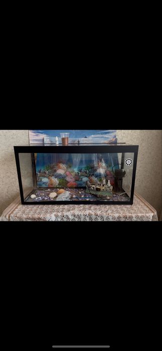 Продаю аквариум в отличном состояние