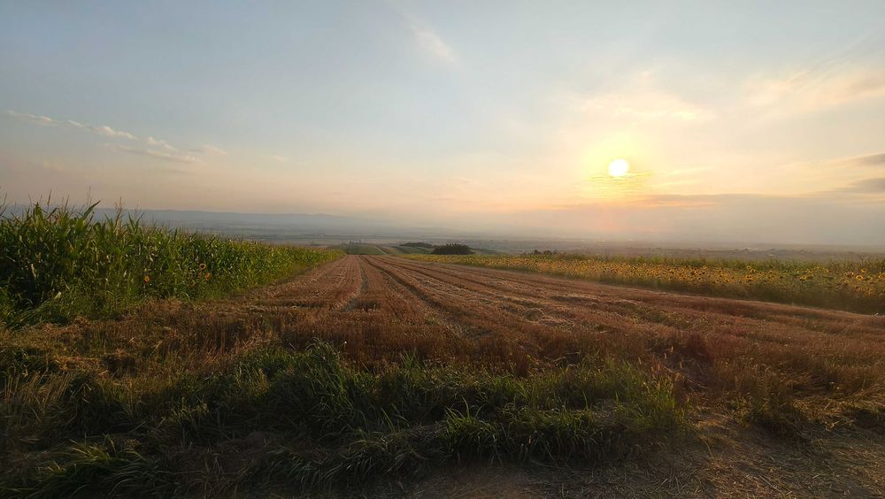Teren intravilan 5700 mp, Vadu Moldovei