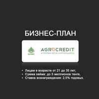 Бизнес план Аграрная кредитная корпорация, ДАМУ, Алматы МФО