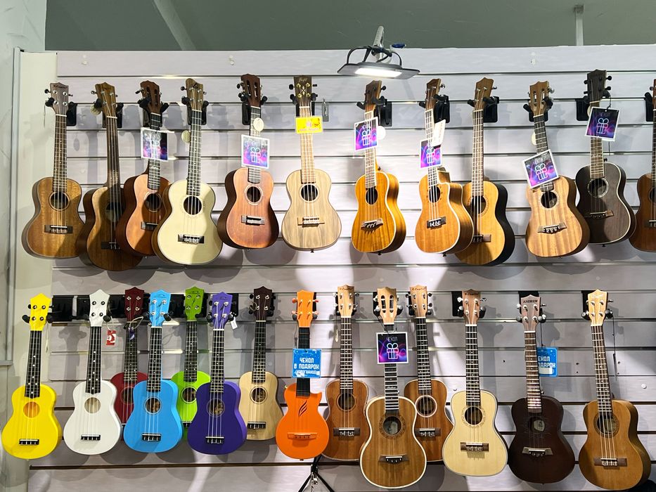 Укулеле САМЫЙ БОЛЬШОЙ выбор в Аккорде