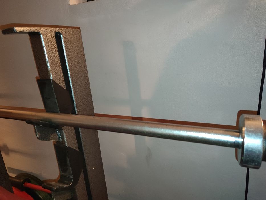 Лост състезателен Полски Елейко Дискове