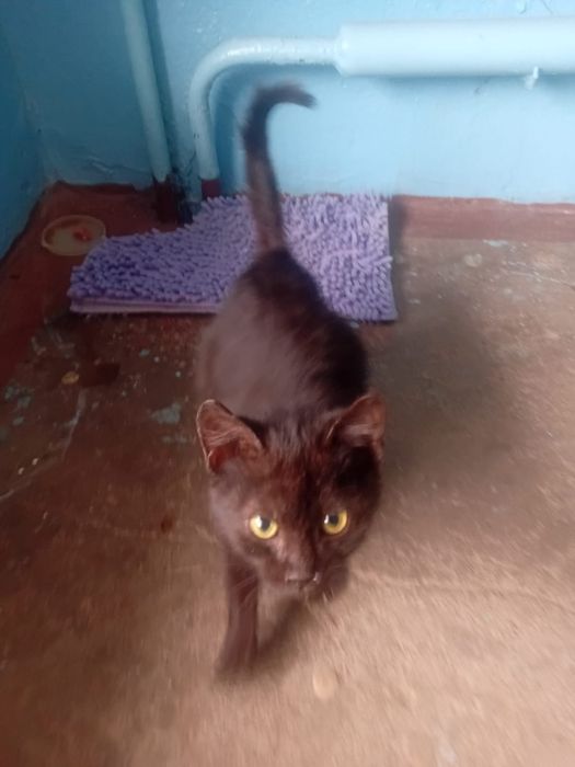 Мальчик ищет дом