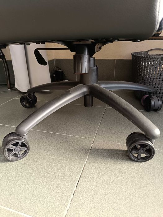 Cougar Outrider S Royal