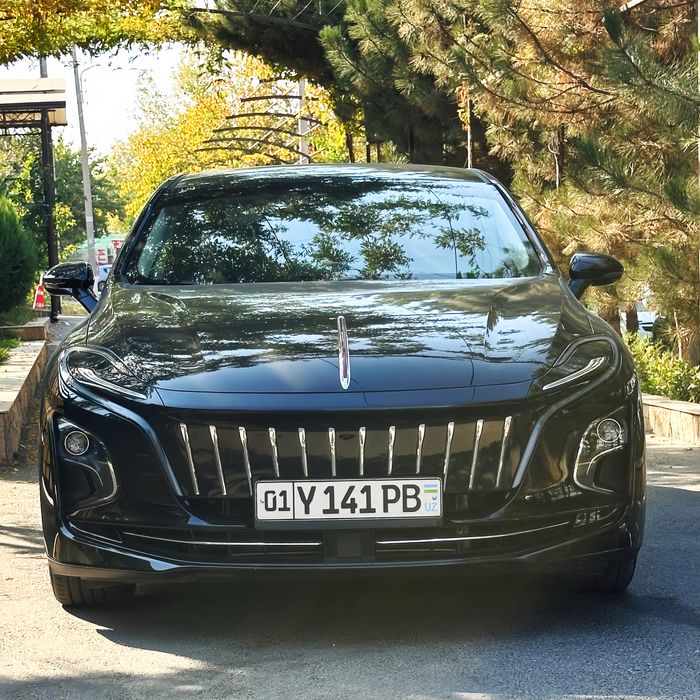 Hongqi 2024