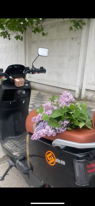 мопед йенги.