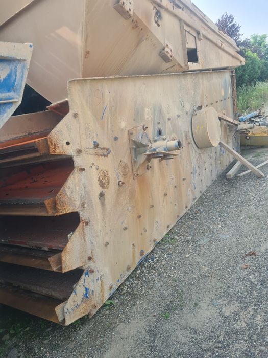 Ciur 4 Sorturi   Loro parasini 600×200