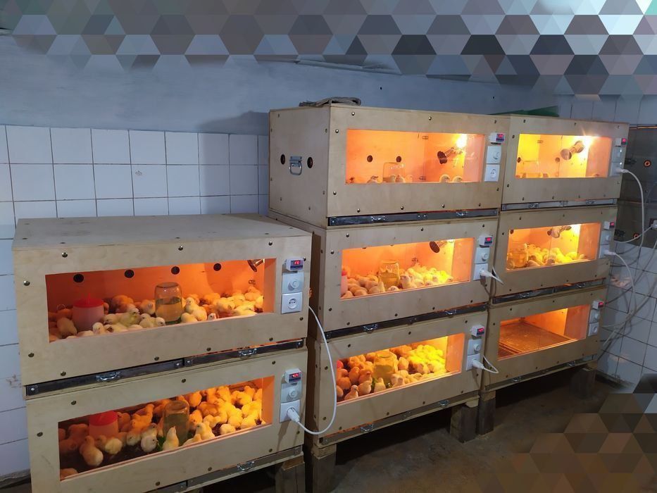 Bruder na zakaz lyuboy razmer