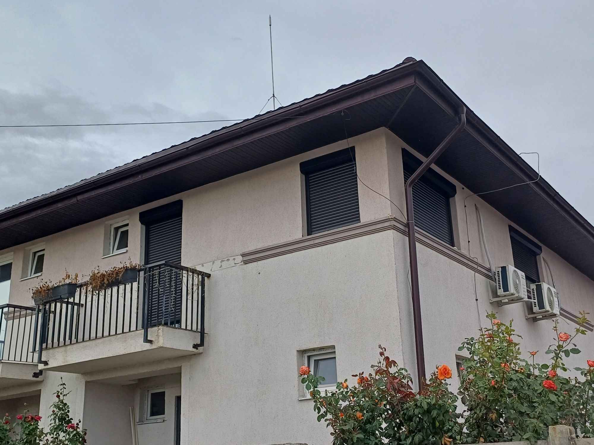 Plase Insecte, Rulouri exterioare