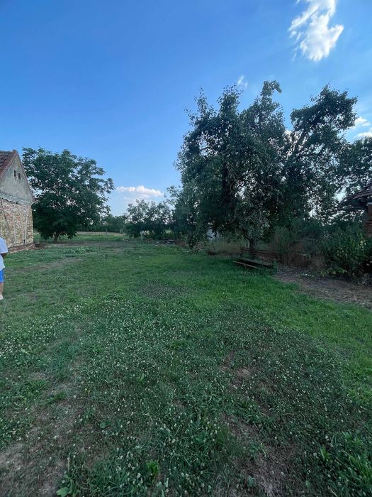 Teren Intravilan | Sacosu Turcesc | 2624 mp | Comision 0%!!