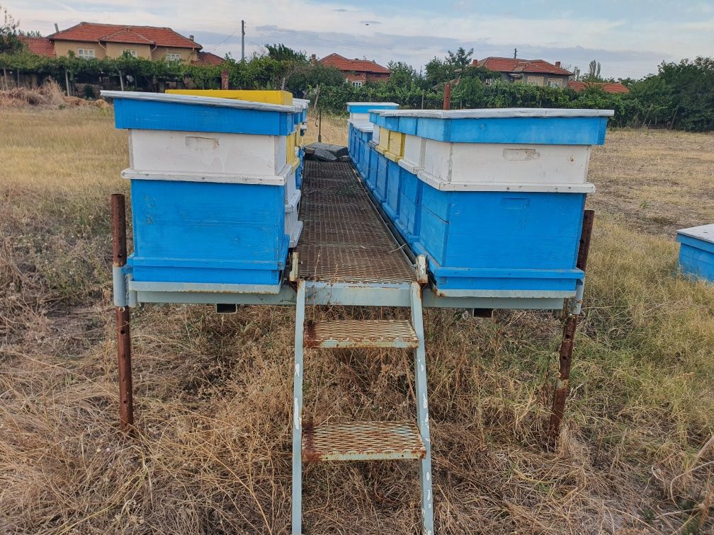 Платформи за пчелни кошери