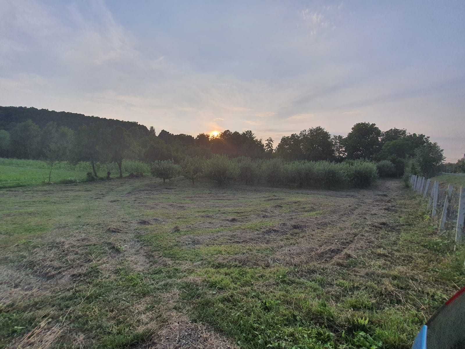 Vând livadă intabulata- Buciumi (Șomcuta Mare, Maramures )