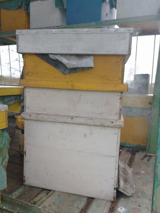 Пчелни празни кошери