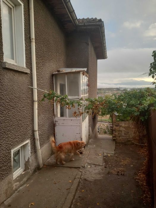 Фамилна къща в гр. Попово