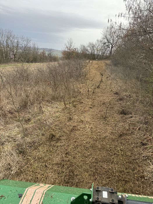 Defrisare terenuri pasuni, spini,maracini