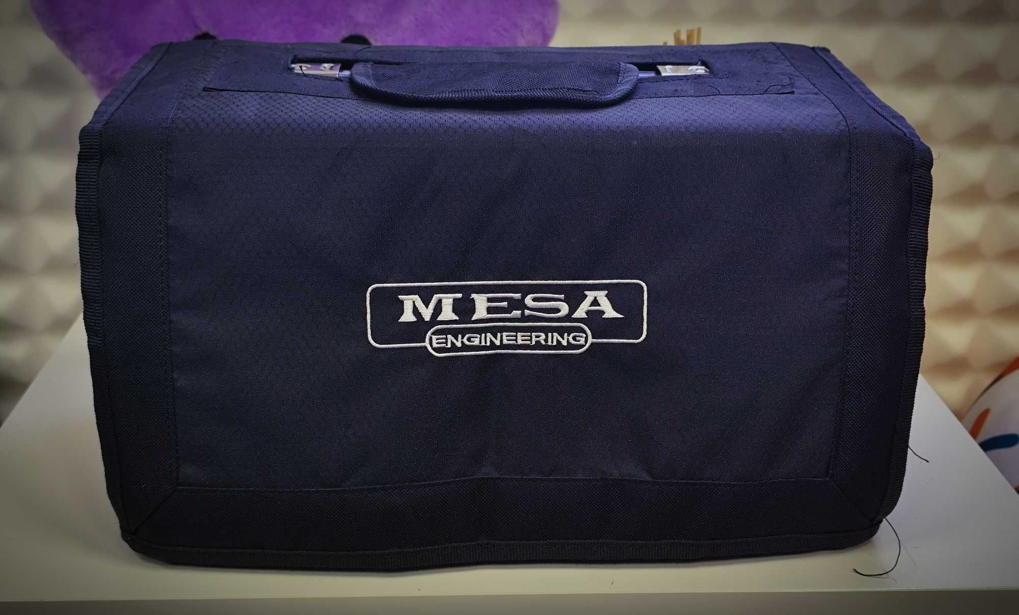 Mesa Boogie Mark V 25