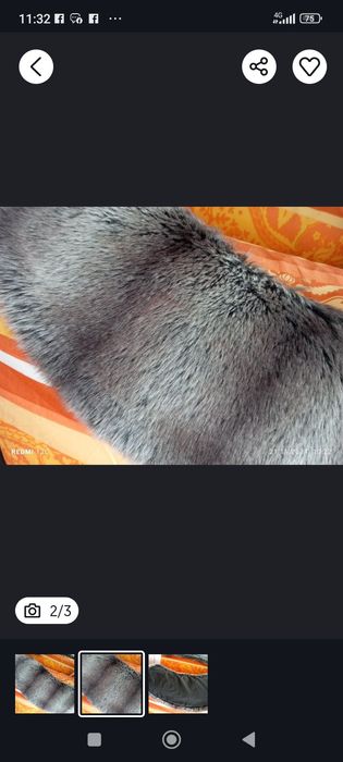 Guler blana artificiala