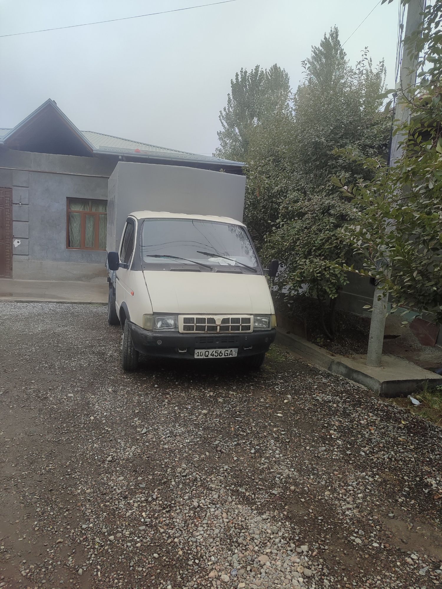 Gazell 3meyroviy