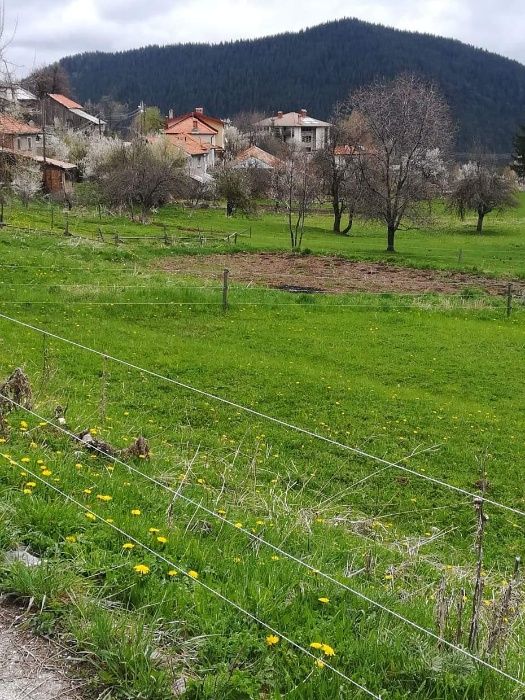 Продава се Парцел в с. Гела, Област Смолян - 531 кв.м за 38 €/кв.м - Снимка #1