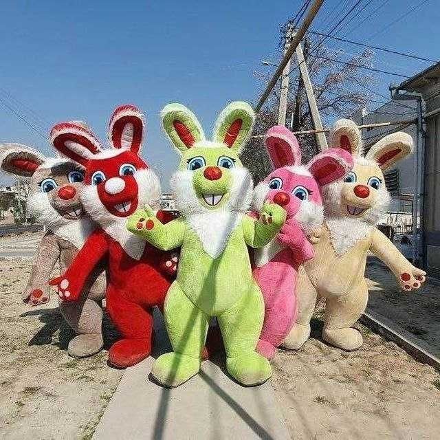 Ayiqlar sotiladi ayiq sotiladi
