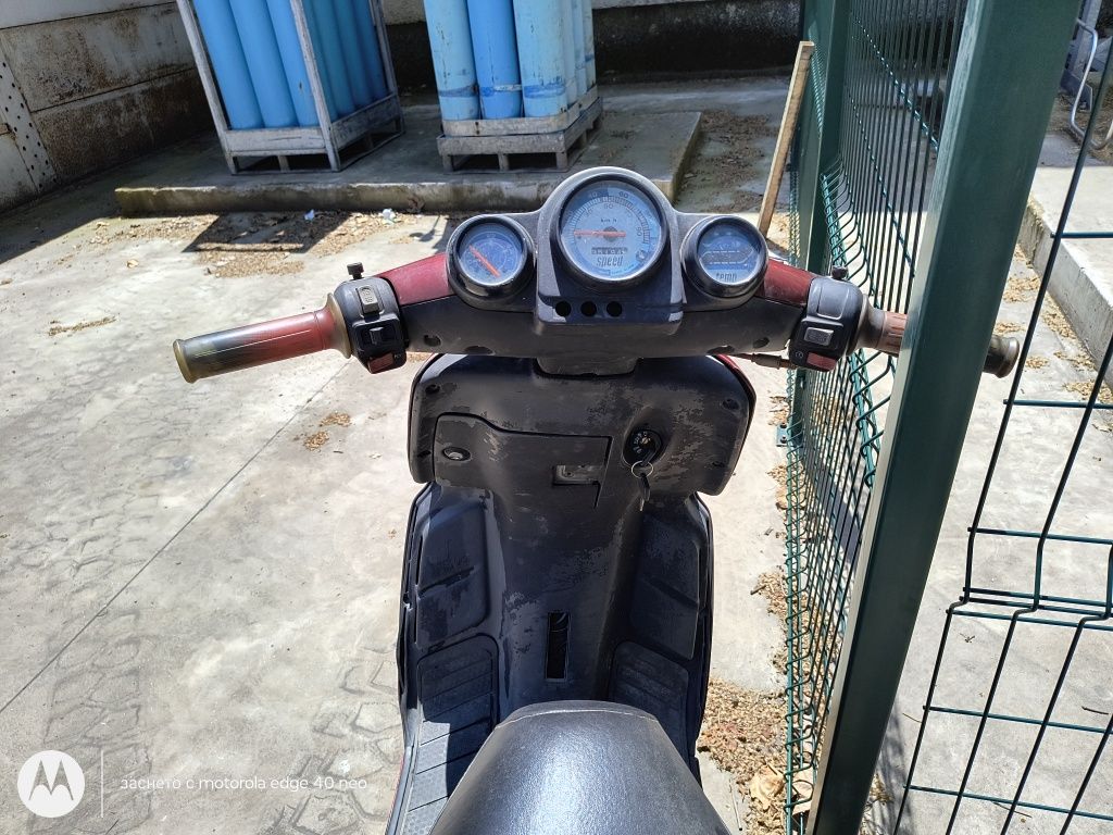 Malaguti     f12