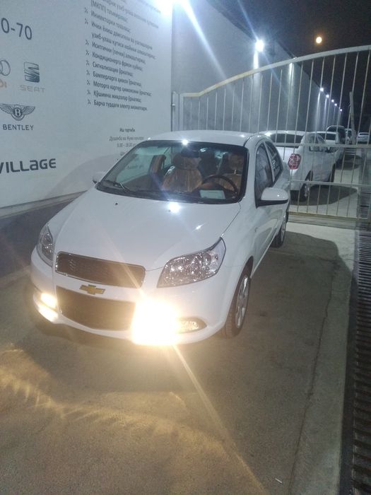 Некция 3 холати ало