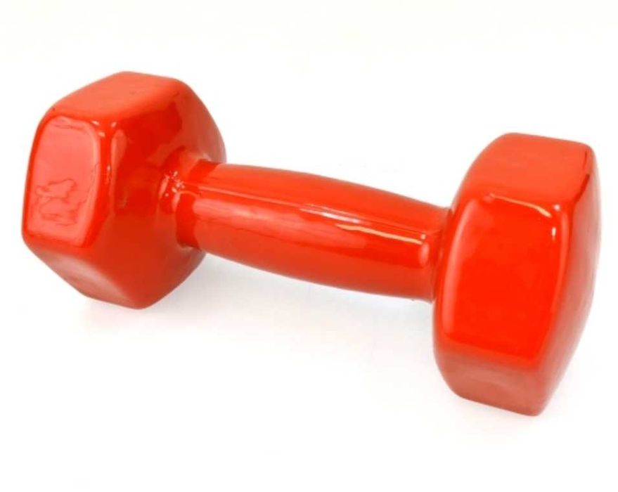 Лост за врата, Колело,Топка,Гири,Ластици,Ролер,Обръч Lost sport fitnes