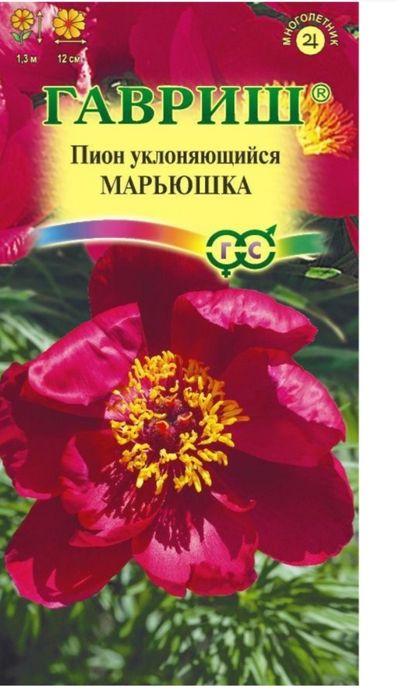 Пионы разновидные. Корни луковицы. С проростками.