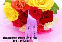 Imprimanta scriere panglici textile,PVC-florarii,cadouri personalizate