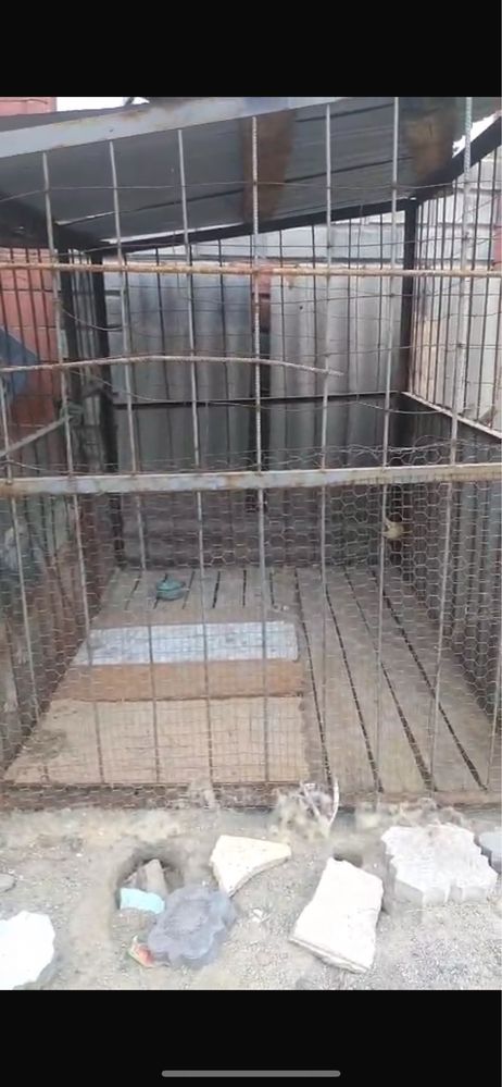 Вольер для собак