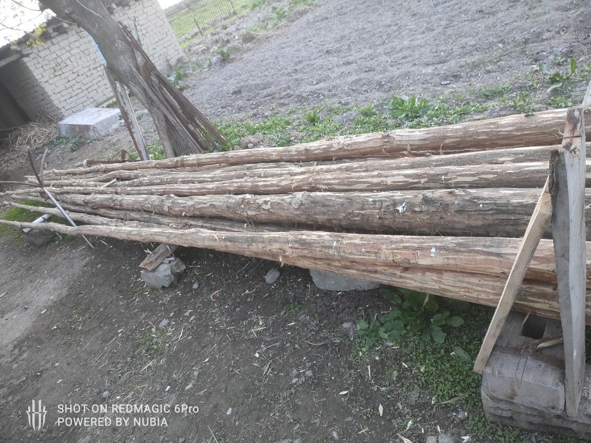 Срочна тераклар сотилади
