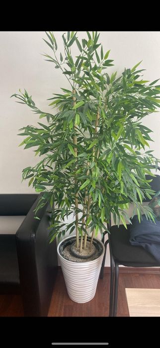Искусственное растение  1,5 м в офис (3 шт)
