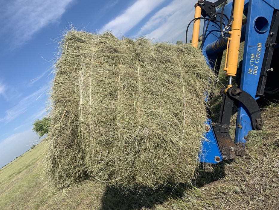 Продам рулоны.